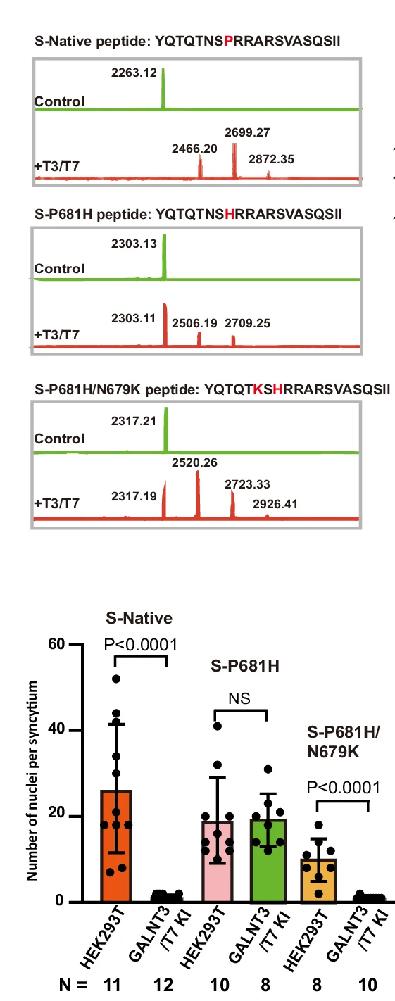 Open access visualization of Bar Plot, Error Bars, MALDI-TOF, GalNAcylation Reactions, GalNAc-T3