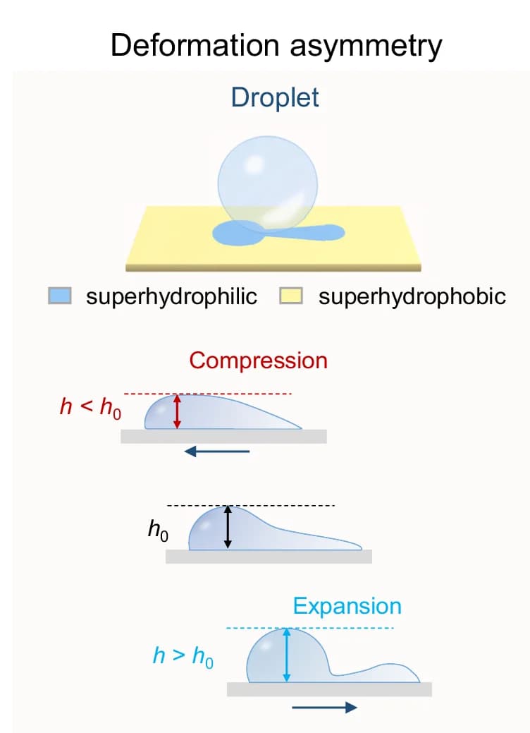 Open access visualization of Illustration, Droplet, Deformation Response, Asymmetric
