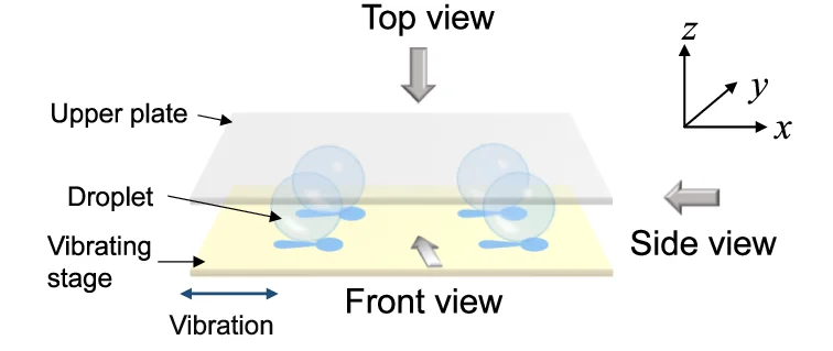 Open access visualization of Illustration, Workflow, Experimental Setup