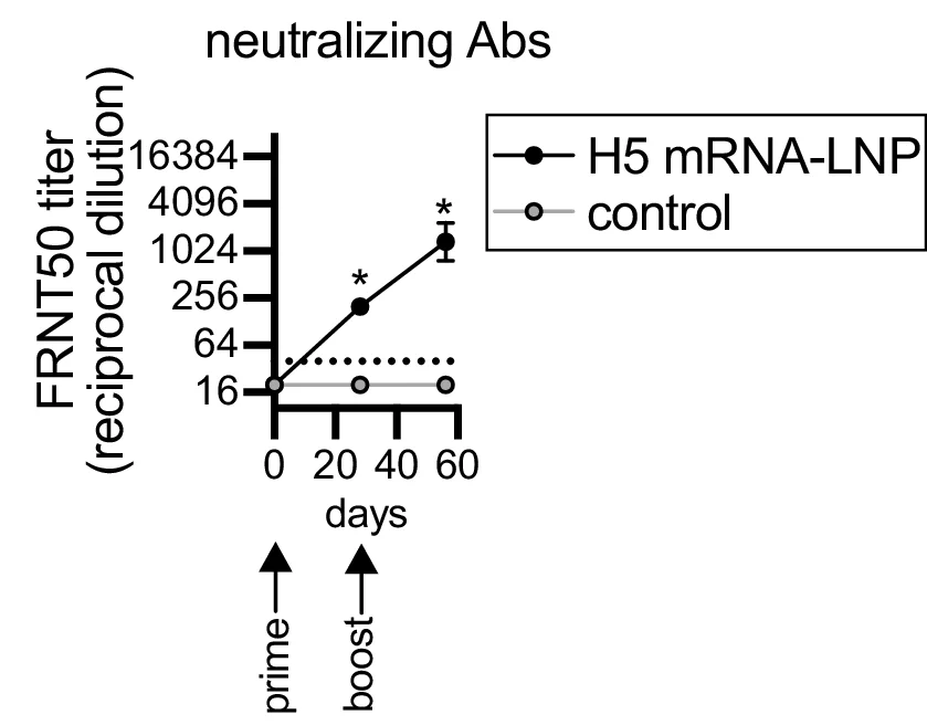 Open access visualization of Line Plot, Error Bars, Serum, Virus Infection, ANOVA