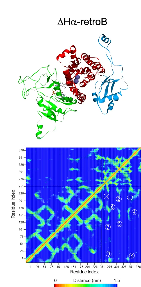 Open access visualization of Protein Structure, Heatmap, 3D Structure, Contact Map, DeltaHa