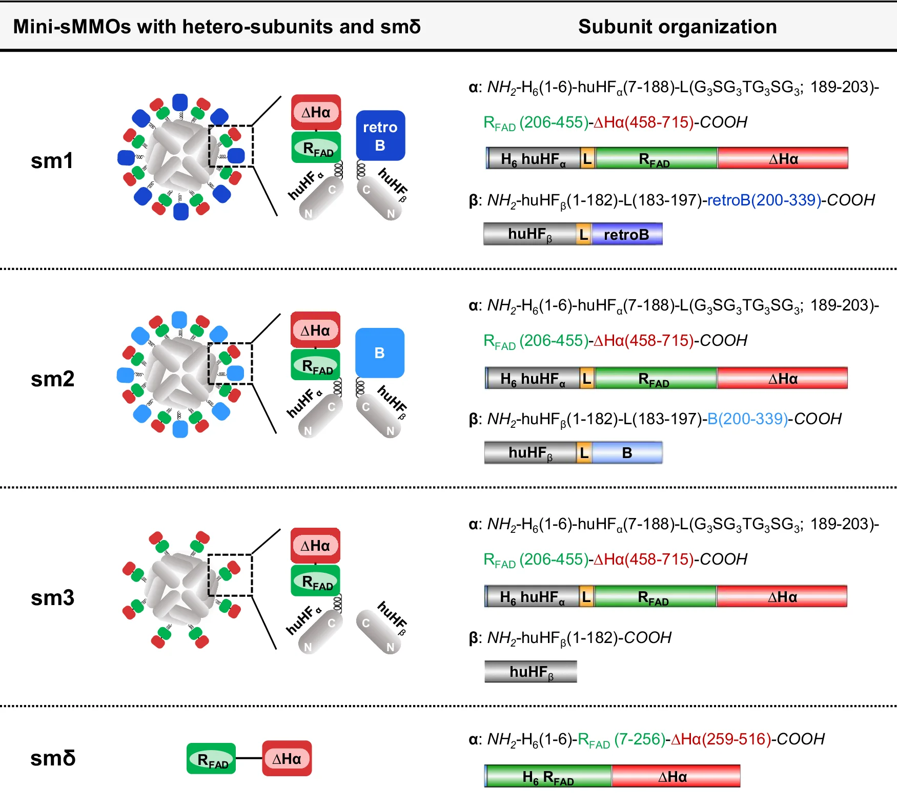 Open access visualization of Workflow, Illustration, RFAD-Hα, B/retroB, huHF Subunit