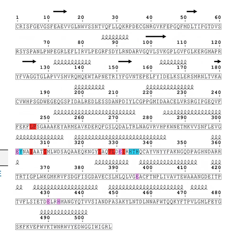 Open access visualization of Illustration, Primary Structure, R FAD -ΔHα, Hydrophobic Residues, FAD-binding Residues