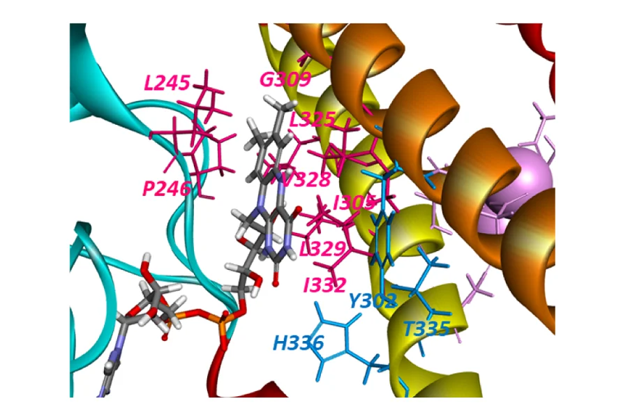 Open access visualization of Protein Structure, Chemical Structure, Table, Sm1 Mutants, FAD-binding Region