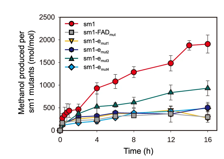 Open access visualization of Line Plot, Error Bars, Methanol Production, Sm1 Mutants, Cumulative Amount