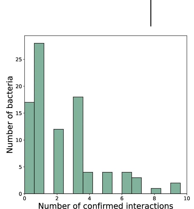 Open access visualization of Histogram, Histograms, Interactions, Bacterial Strain, KL-Types