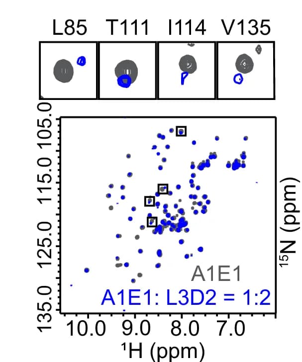 Open access visualization of Scatter Plot, APLP1, LAG3, NMR, HSQC Spectra