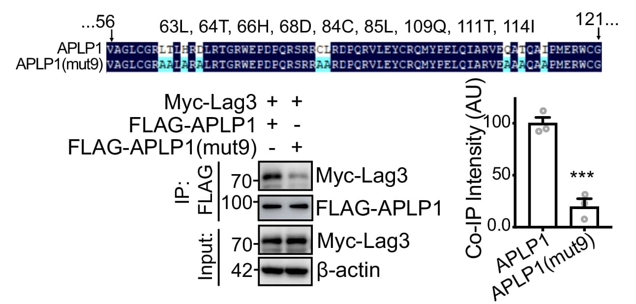 Open access visualization of Bar Plot, Gel, APLP1, Lag3, NMR