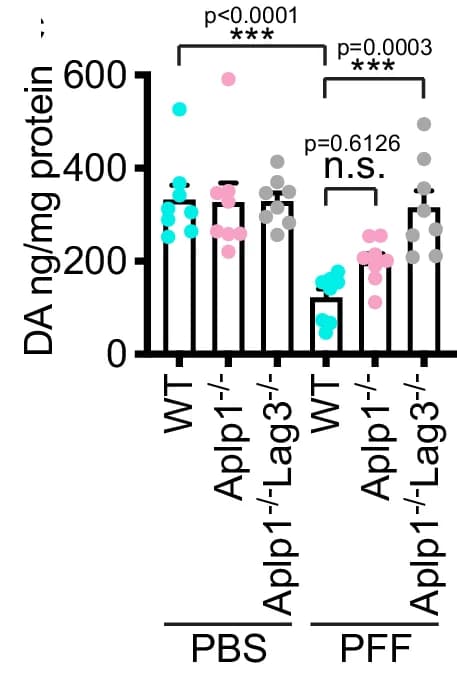 Open access visualization of Bar Plot, Scatter Plot, Error Bars, DA Concentrations, Striatum