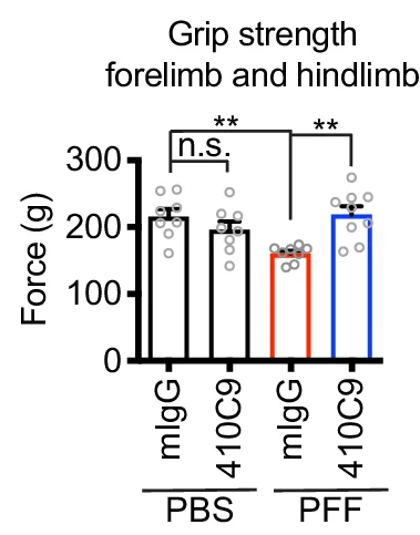 Open access visualization of Bar Plot, Error Bars, Behavioral Deficits, 410C9, Alpha-Syn PFF