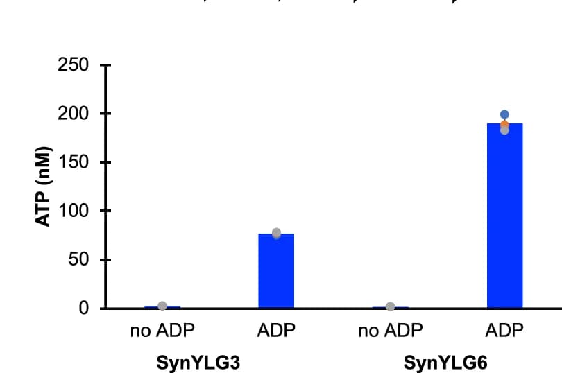 Open access visualization of Bar Plot, Scatter Plot, ATP, SynYLG6 Cells, UWE25 ADP/ATP Translocase