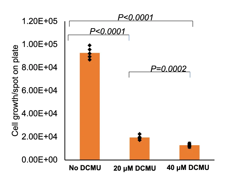 Open access visualization of Bar Plot, Error Bars, Cell Count, DCMU, S. cerevisiae cox2-60 Chimeras