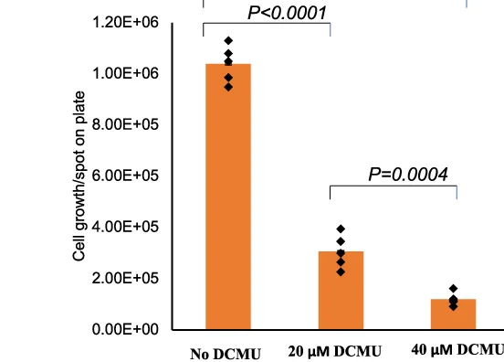 Open access visualization of Bar Plot, Scatter Plot, Cell Count, DCMU, S. cerevisiae