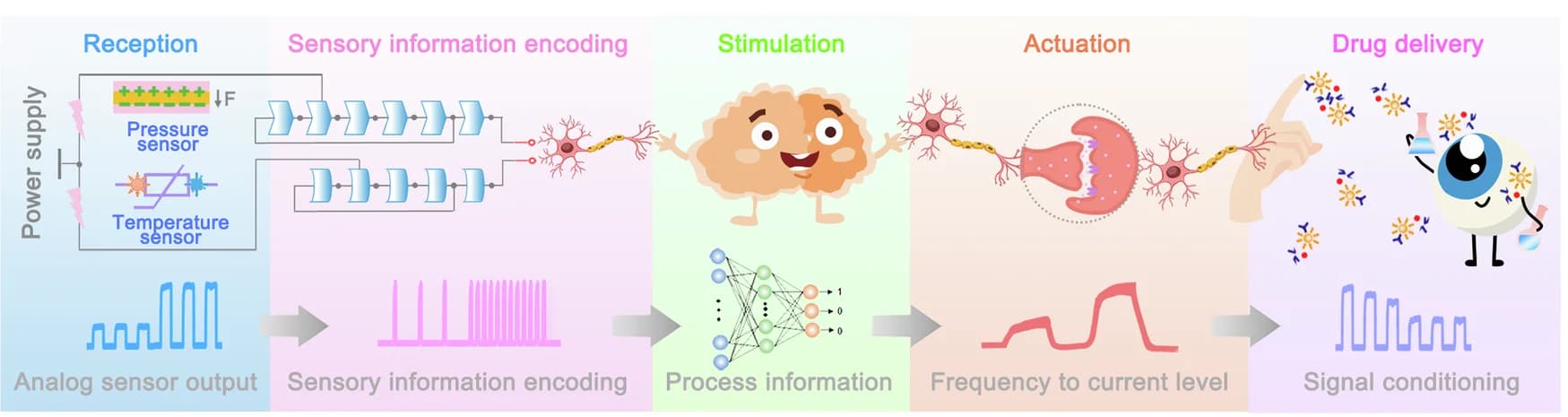 Open access visualization of Workflow, Illustration, Line Plot, IOP Monitoring, Temperature Range