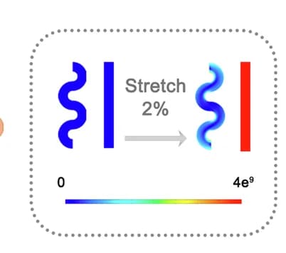 Open access visualization of Workflow, Illustration, Finite Element Analysis, Rectilinear Electrodes, Serpentine Electrodes