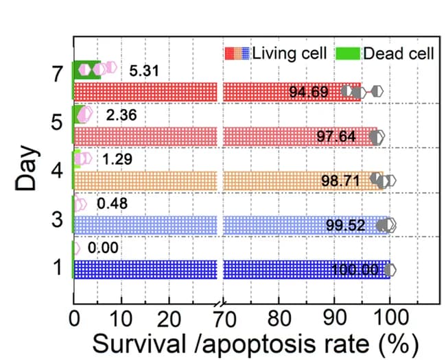 Open access visualization of Bar Plot, Survival Rate, Apoptosis Rate, Statistics