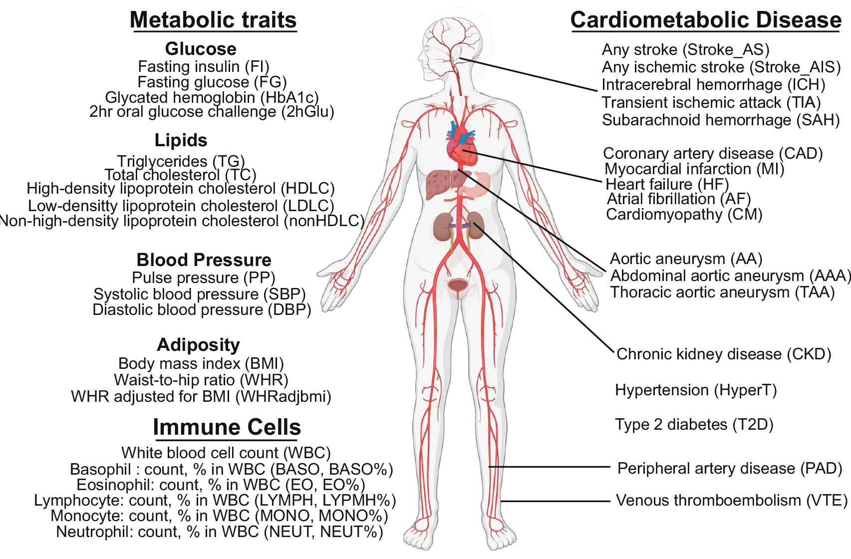 Open access visualization of Illustration, Cardiometabolic Diseases, Metabolic Traits, Immune Cell Traits