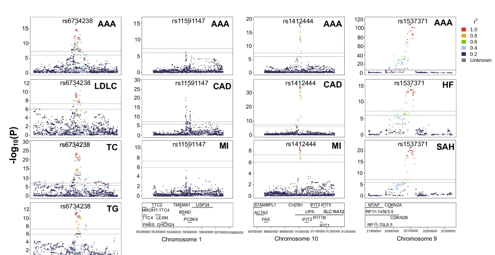 Open access visualization of Manhattan Plot, LocusZoom Plots, Causal Variants, AAA, CMTs