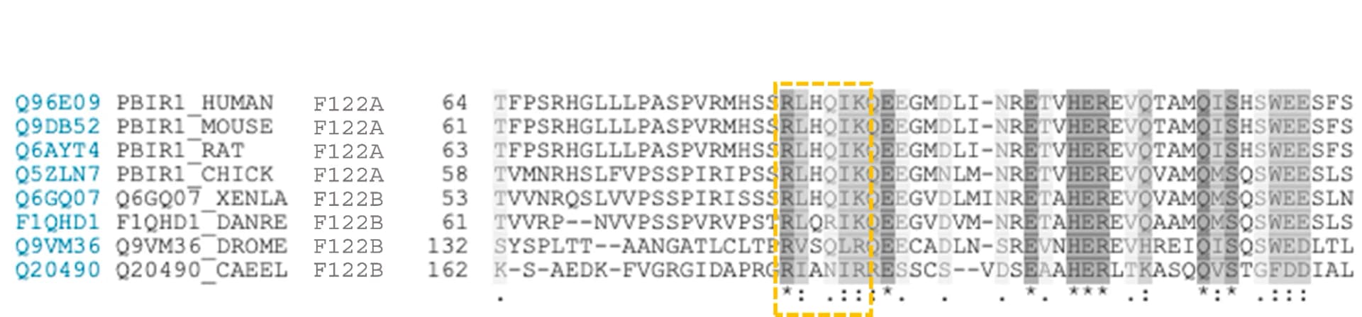Open access visualization of Illustration, Table Image, SLiM, Bilateral Animals, Worms