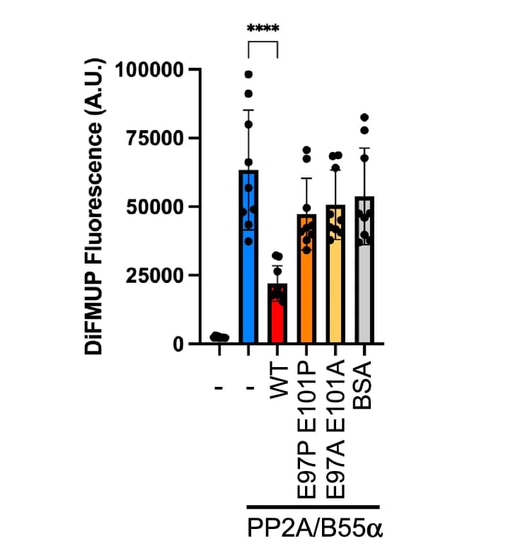 Open access visualization of Bar Plot, Error Bars, DiFMUP Phosphatase Assay, PP2A/B55 Holoenzyme, HA-Tagged FAM122A Mutants
