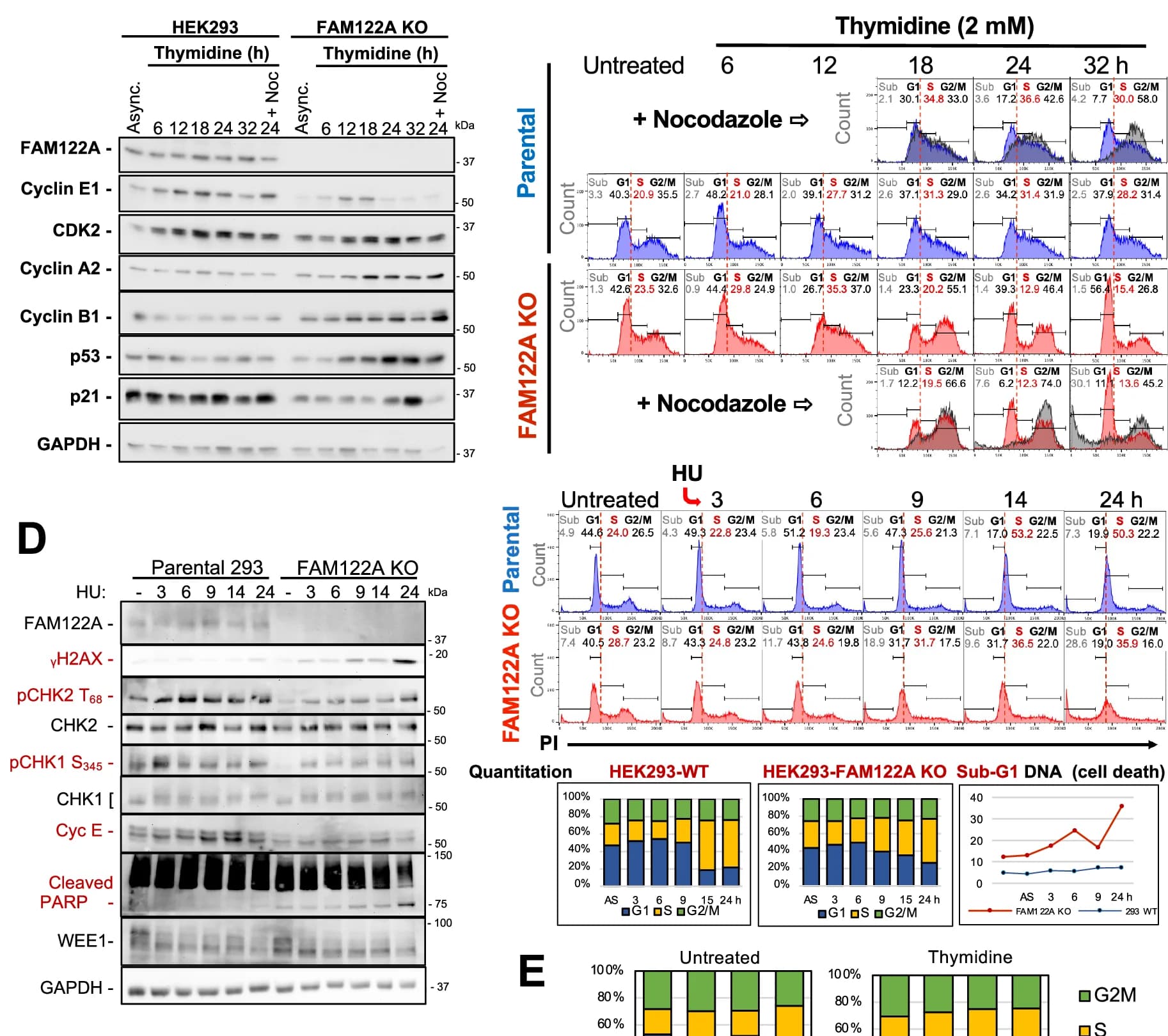 Open access visualization of Gel, Histogram, Line Plot, Bar Plot, HEK293 Cells