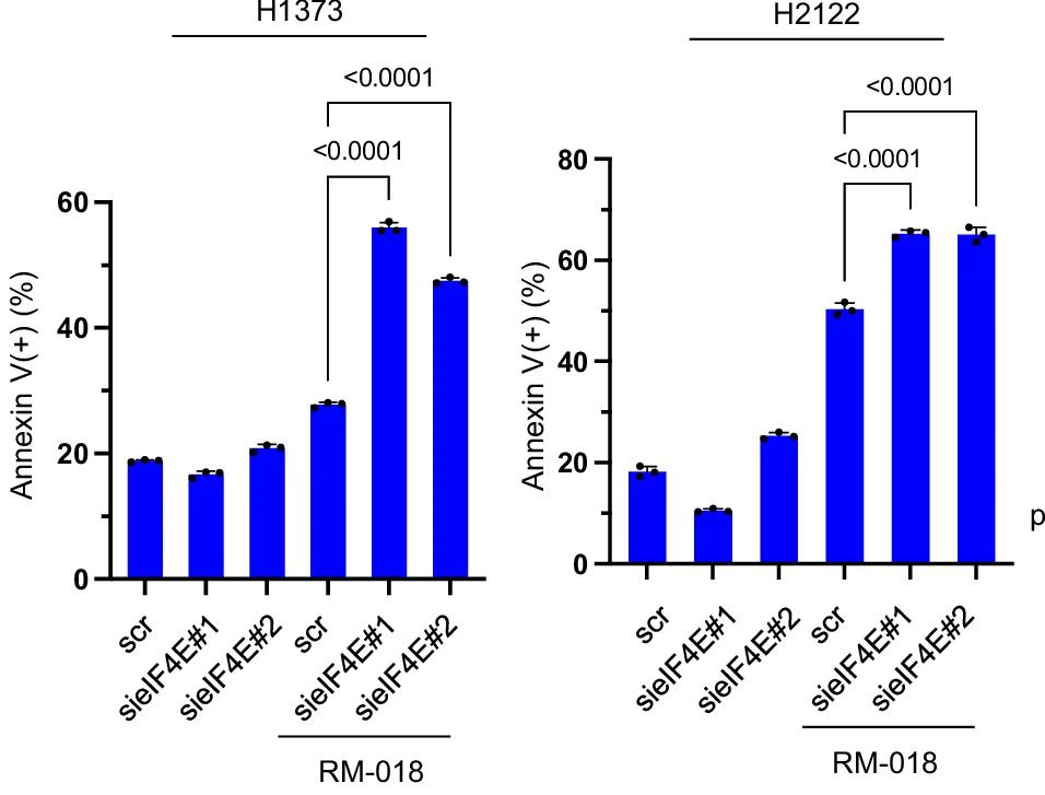 Open access visualization of Bar Plot, Error Bars, H1373 Cells, H2122 Cells, siRNA