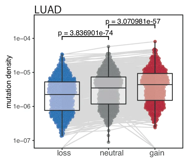 Open access visualization of Violin Plot, Box Plot, Mutation Density, Genomic Regions, Lung Adenocarcinomas