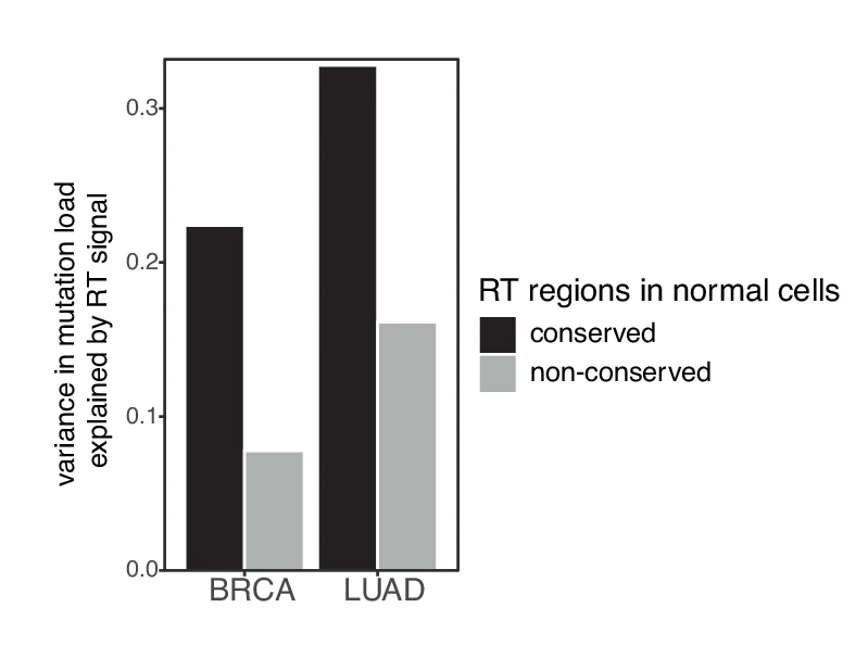 Open access visualization of Bar Plot, Clustered, Variance, Mutation Load, Replication Timing Signal
