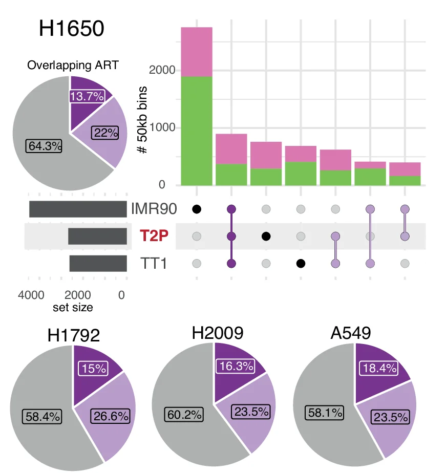 Open access visualization of Pie Chart, Bar Plot, Stacked Bar Plot, Scatter Plot, Overlapping ART Regions