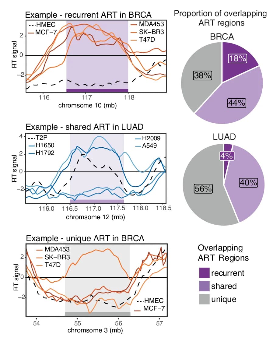 Open access visualization of Line Plot, Pie Chart, Pie Charts, Overlapping ART Regions, Cell Lines