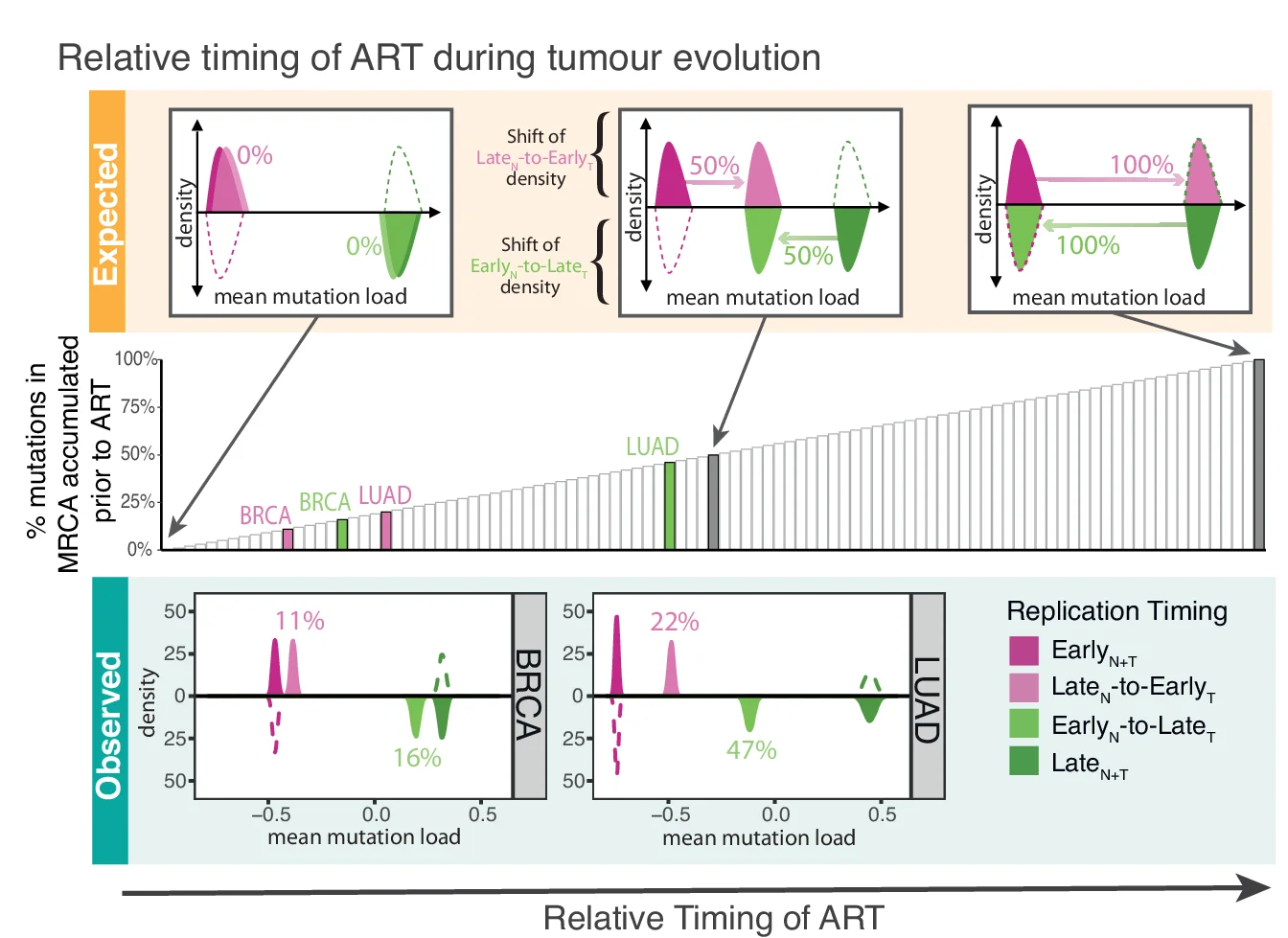 Open access visualization of Line Plot, Density Plot, Bar Plot, Mutation Load, Replication Timing