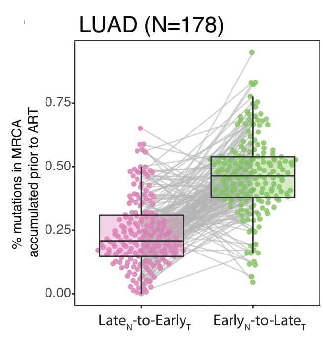 Open access visualization of Box Plot, Scatter Plot, Raincloud Plot, Mutations, Lung Adenocarcinoma