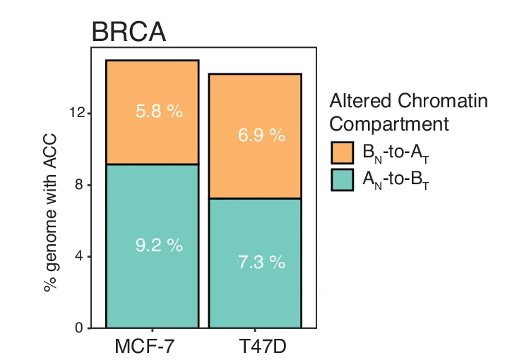 Open access visualization of Stacked Bar Plot, Genome, Altered Chromatin Compartment, Breast Carcinoma Cell Lines
