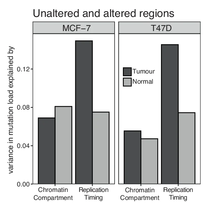 Open access visualization of Bar Plot, Clustered, Mutation Load, Breast Carcinoma, Chromatin