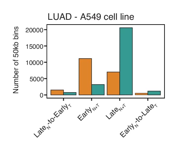 Open access visualization of Clustered, Genomic Bins, A Compartment, B Compartment, Lung Adenocarcinoma Cell Line