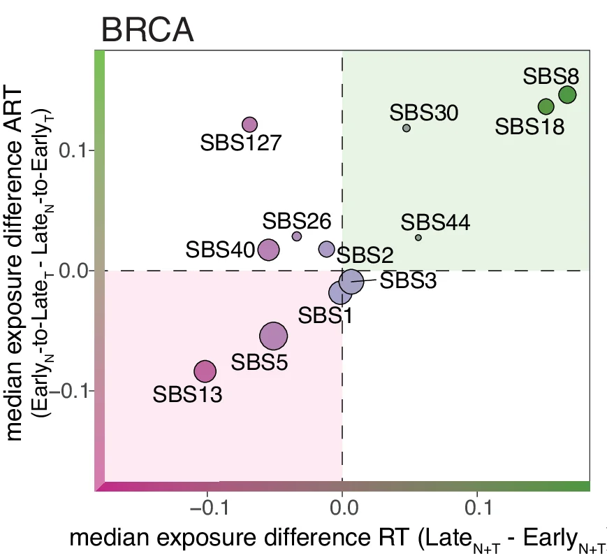 Open access visualization of Bubble Plot, Scatter Plot, Mutational Signatures, Breast Carcinoma, Tumors