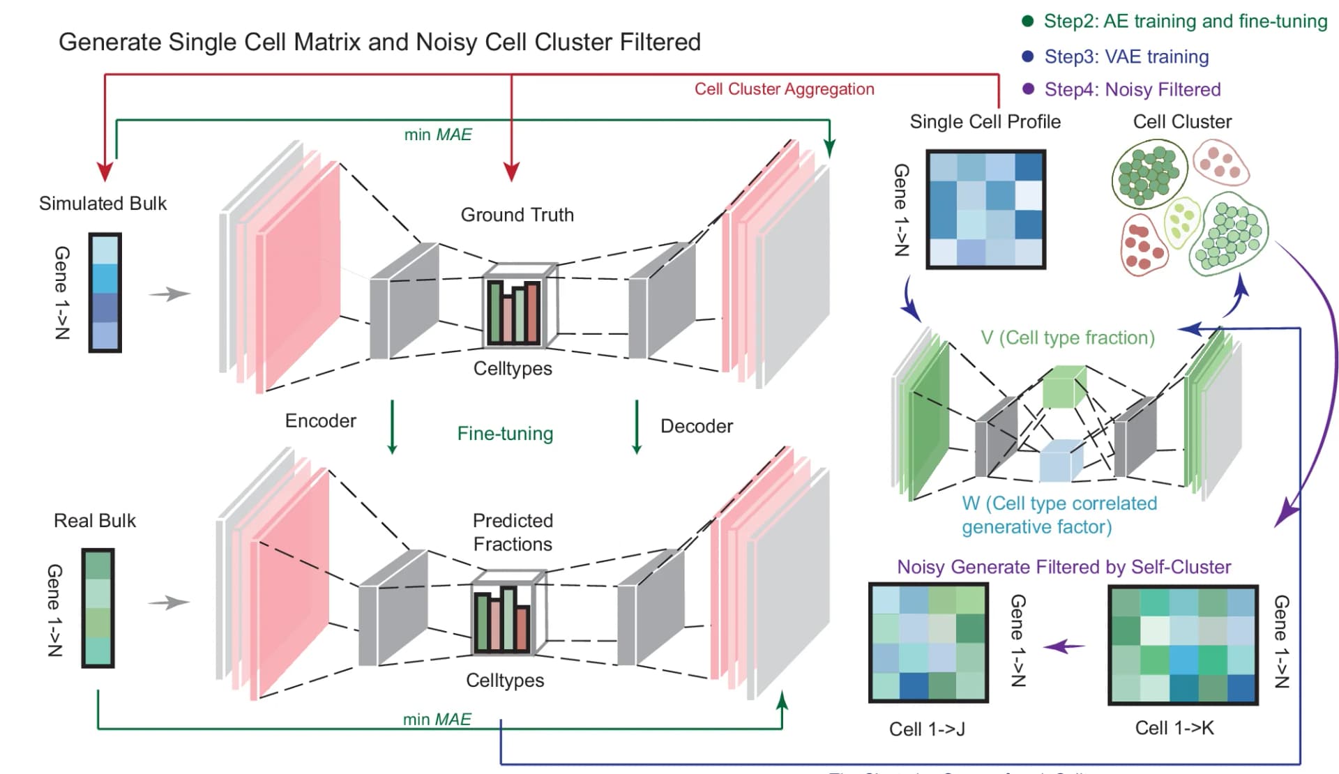 Open access visualization of Workflow, Single-Cell Profile, Bulk Transcriptome Data, Autoencoder, Cell Fractions