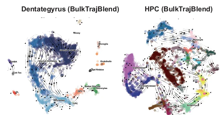 Open access visualization of Scatter Plot, UMAP, Flow Trend, Cell Developmental Trajectories, Neurogenic Intermediate Progenitor Cells