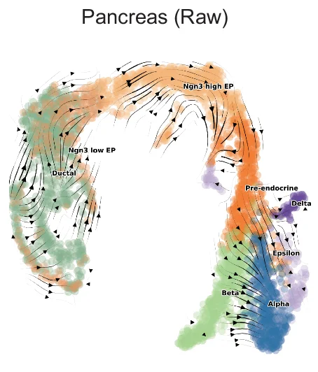 Open access visualization of Scatter Plot, UMAP, Pancreas Dataset, Velocity Stream, Cell Dropouts