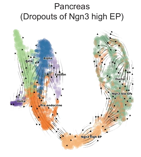 Open access visualization of Scatter Plot, Pancreas Dataset, Velocity Stream, Cell Dropouts, BulkTrajBlend