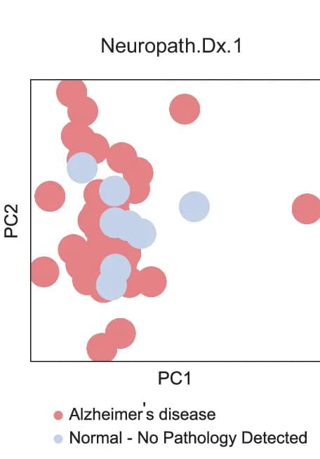 Open access visualization of Scatter Plot, Bubble Plot, PCA, Principal Component Analysis, Alzheimers