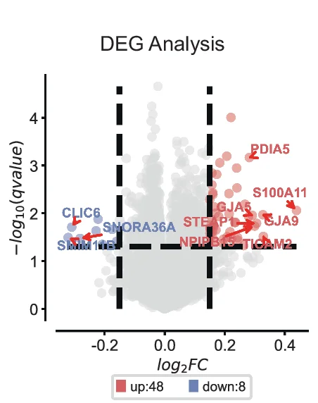 Open access visualization of Volcano Plot, Scatter Plot, Differentially Expressed Genes, Upregulated Genes, Downregulated Genes