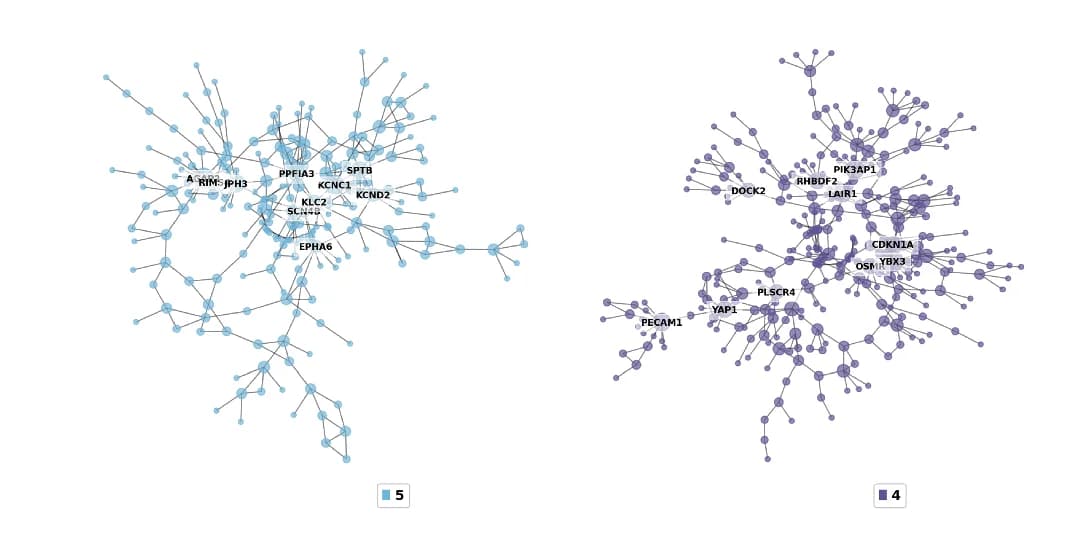 Open access visualization of Network, Pathway, Scale-Free Networks, Genes, Node Connectivity