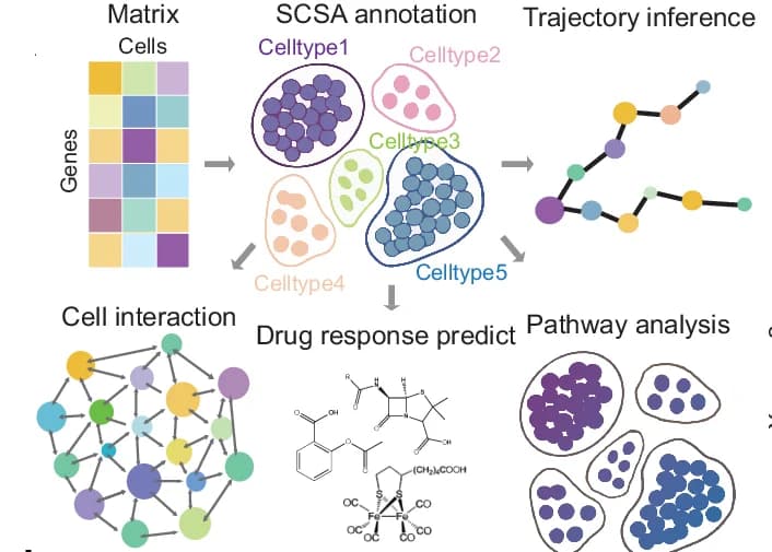 Open access visualization of Workflow, Illustration, Network, Pathway, Heatmap
