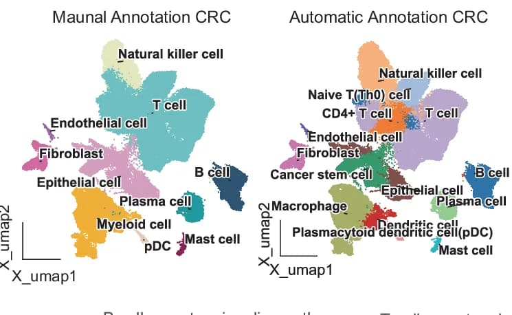 Open access visualization of UMAP, UMAP Plot, Single-Cell RNA Sequencing, Colorectal Cancer, Manual Annotation