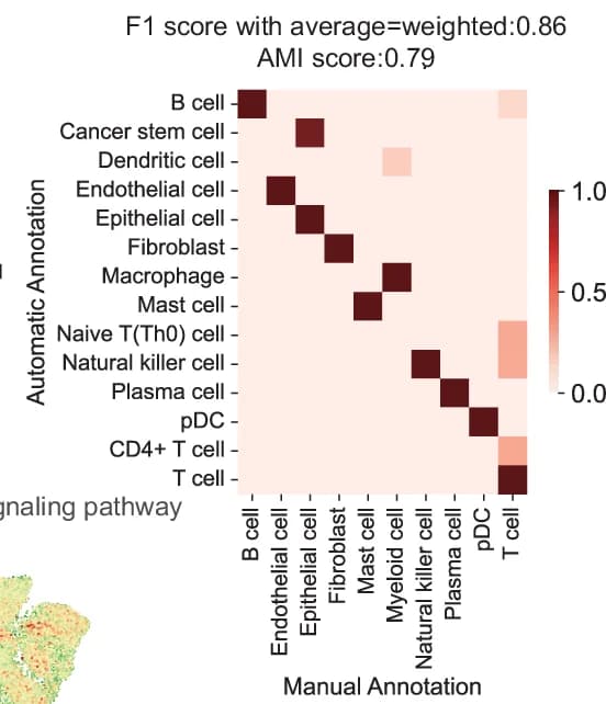 Open access visualization of Heatmap, Confusion Matrix, Manual Annotation, Automatic Annotation