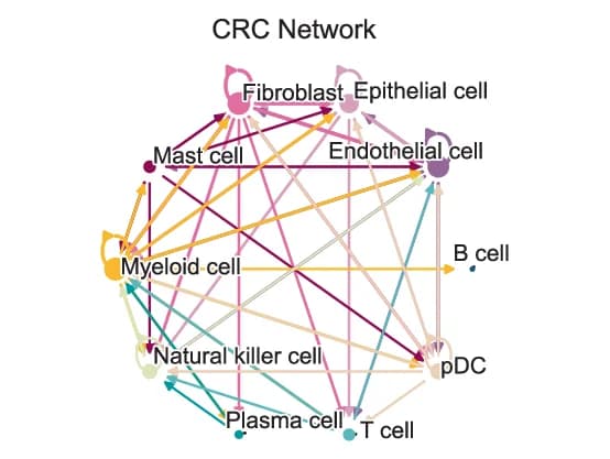 Open access visualization of Network, Pathway, Interaction Network, Colorectal Cancer Cell Types, Intercellular Communication