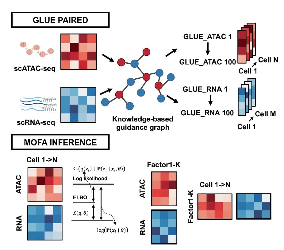Open access visualization of Network, Heatmap, Workflow, Graphical Model, Cell Type Correlations