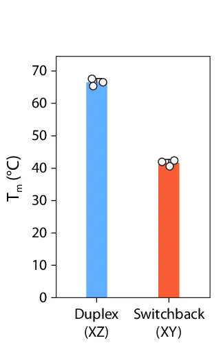 Open access visualization of Bar Plot, Error Bars, UV Thermal Melting Temperature, Conventional Duplex, Switchback DNA