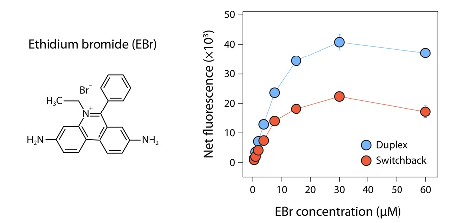 Open access visualization of Line Plot, Error Bars, Fluorescence Intensities, Duplex DNA, Ethidium Bromide